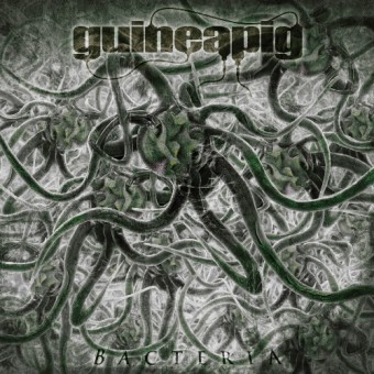 Guineapig - Bacteria - LP