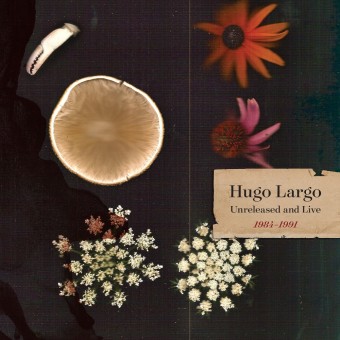 Hugo Largo - Huge, Large and Electric: Hugo Largo 1984-1991 - 2CD BOX