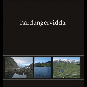 Ildjarn-Nidhogg - Hardangervidda I - LP COLOURED