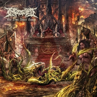 Ingested - The Level Above Human - CD