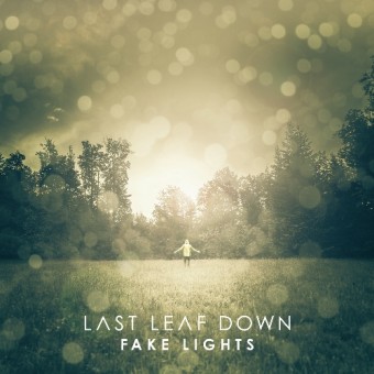 Last Leaf Down - Fake Lights - CD