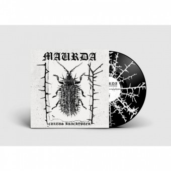 Maurda - Cultus Bachypter - LP