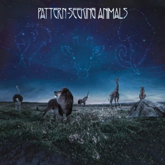 Pattern-Seeking Animals - Pattern-Seeking Animals - Double LP Gatefold + CD