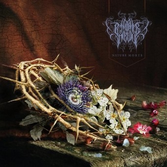Pénitence Onirique - Nature Morte - CD DIGIPAK