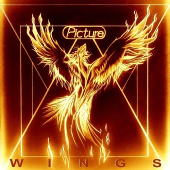 Picture - Wings - CD