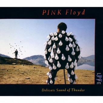 Pink Floyd - Delicate Sound Of Thunder - 2CD DIGISLEEVE
