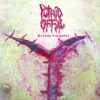 Putrid Offal - Mature Necropsy - CD DIGISLEEVE