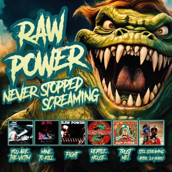 Raw Power - Never Stopped Screaming - 3CD BOX