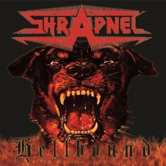Shrapnel - Hellbound - LP