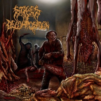 Stages Of Decomposition - Piles Of Rotting Flesh - CD