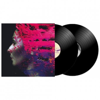 Steven Wilson - Hand. Cannot. Erase. - DOUBLE LP GATEFOLD
