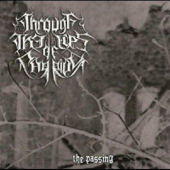 Through The Eyes Of Carrion - The Passing - CD