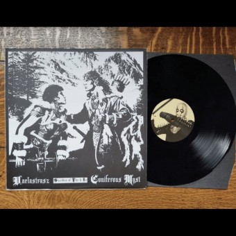 Vaelastrasz - Coniferous Myst - Sacrifices Of Fire And Ice - LP