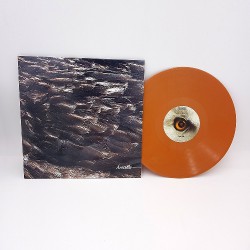 Arstidir - Árstíðir - LP Gatefold Coloured + Digital
